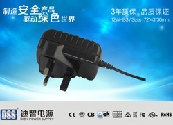 12V1A英規BS